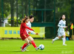 九州棋牌-关于速看：女足精英云集，各显神通争夺荣耀的信息