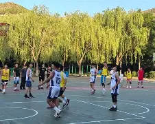 球员们在赛场上彰显出优雅和力量的完美结合英语