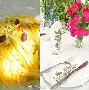 波斯尼亚保加利亚激战击败克里特岛，晋级之路遥遥无期的简单介绍